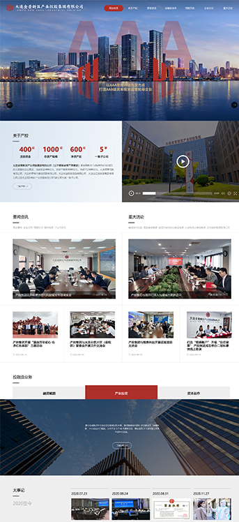 大連網站建設-金普產控集團