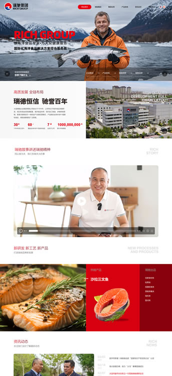大連網站建設-瑞馳集團
